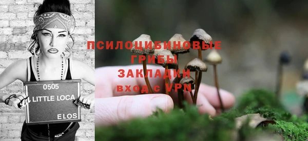 гидра Алексеевка
